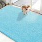 OLANLY Dog Door Mat for Muddy Paws 50x30, Super Absorbent Chenille Mud Mat | by OLANLY