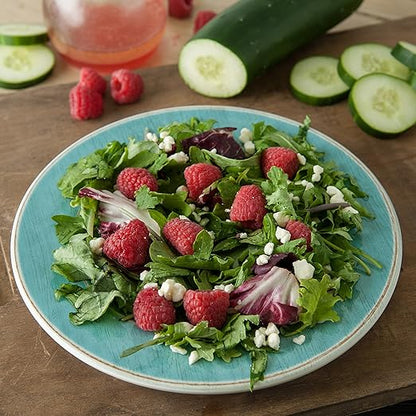 Carlisle FoodService Products Grove Reusable Plastic Plate Salad Plate with Rim for Home and Restaurant, Melamine, 9 Inches, Aqua