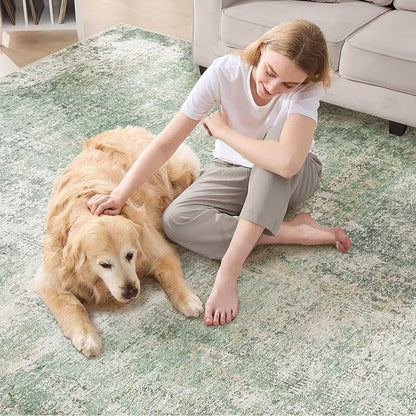 DMOYEST Area Rug Living Room Rugs - Image 5
