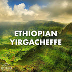 Ethiopian Coffee, Yirgacheffe Region, Ground, USDA Organic, Fresh Roasted, 5 lbs