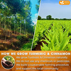 FreshDrinkUS, Premium 135 Turmeric Cinnamon Tea Bags, 100% Natural, Blend of Turmeric, and Cinnamon. Made with Natural Material Tea Bags. No Sugar. No Caffeine. Vegan.