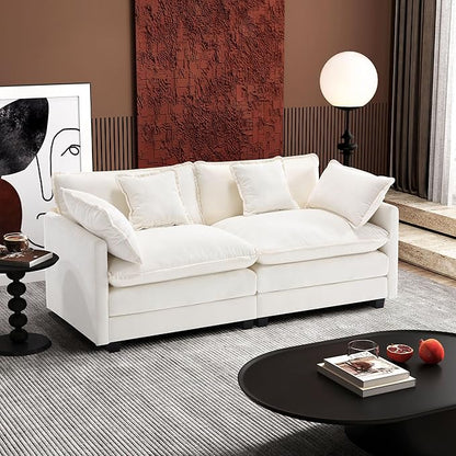 Ihanherry Cloud Sofa 77 Inch Loveseat, Modern Sectional Couch, 2-Seats Sofa by iHanHerry