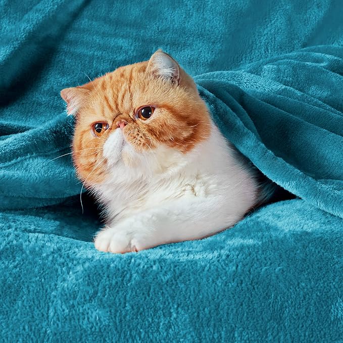 Bedsure GentleSoft Bedding Fleece Blanket - Image 7