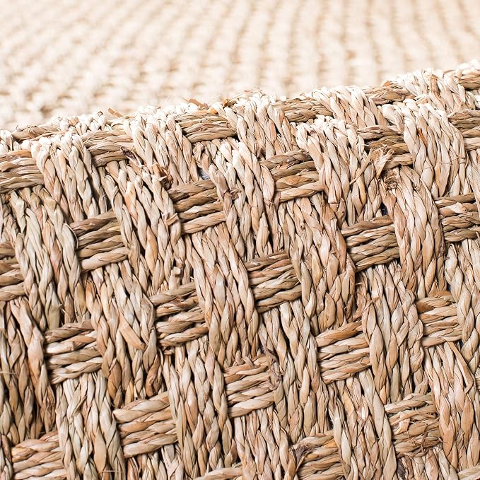 SAFAVIEH Area Rug 10' Square - Image 6
