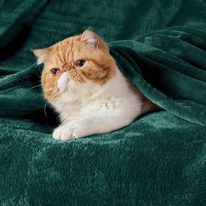Bedsure GentleSoft Fleece Bed Blankets Large Size Forest Green - Image 3