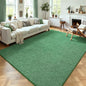 4x6 Area Rugs for Living Room Non Slip Dorm Bedroom Rug, Matte Green | Modern by AROGANAREARUG