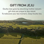 OSULLOC Fig Chocolat Black Tea (Juicy Fig & Chocolate flavor), Fruit Tea Blend, Premium Tea bags from Jeju Isalnd, 20 tea bags