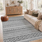 cotiled 6x9 Washable Area Rugs Living Room: Soft Lightweight Boho Rug | Solve by COTILED