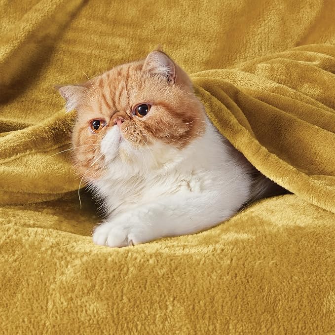 Bedsure GentleSoft Fleece Throw XL Blanket Yellow - Image 2