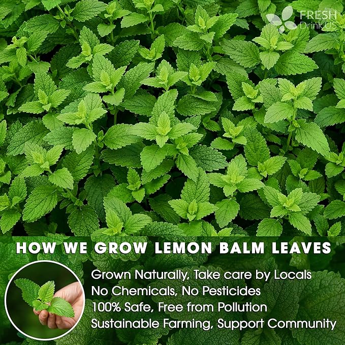 FreshDrinkUS, Premium 120 Lemon Balm Leaf Tea Bags, 100% Natural & Pure from Lemon Balm Leaves. Loose Leaf Lemon Balm Herbal Tea. Lemon Balm Leaf Tea. No Sugar, No Caffeine, No Gluten, Vegan. Lemon Balm Tea