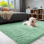 OLANLY 3x5 Machine Washable Small Bedside Rug, Soft Fluffy Shaggy Rugs by OLANLY