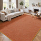 5x7 Area Rugs for Living Room Non Slip Dorm Bedroom Rug, Minimalist Washable by AROGANAREARUG