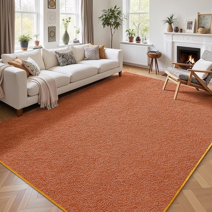 4x6 Area Rugs for Living Room Non Slip Dorm Bedroom Rug, Minimalist Washable - Image 8