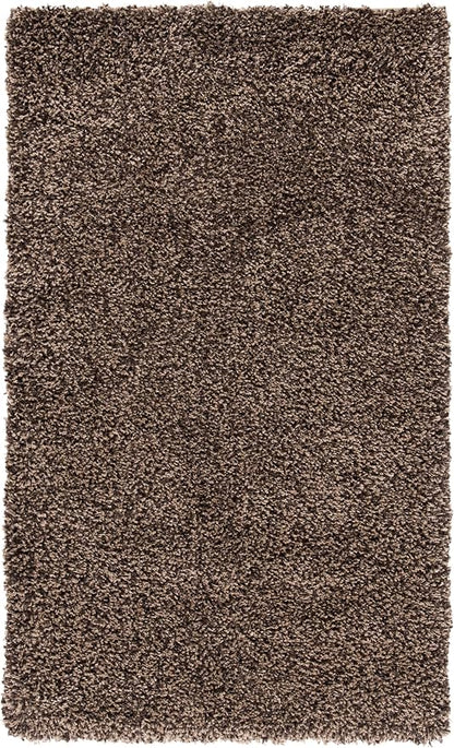 SAFAVIEH Area Rug 4x6 - Image 4