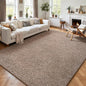 4x6 Area Rugs for Living Room Non Slip Dorm Bedroom Rug, Matte Brown | Modern by AROGANAREARUG