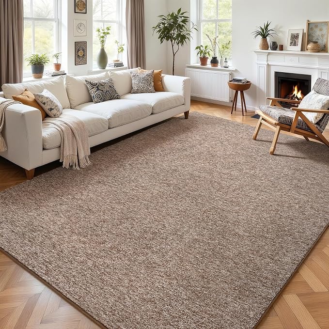 5x7 Area Rugs for Living Room Non Slip Dorm Bedroom Rug, Matte Brown | Modern by AROGANAREARUG
