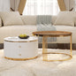 Merax 2-Piece Round Nesting Coffee Table Set by Merax
