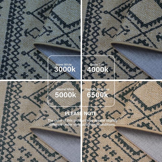 Lahome Boho 3x5 Entryway Front Porch Rug - Image 6