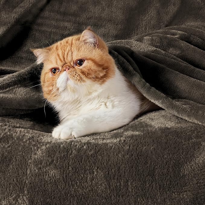 Bedsure GentleSoft Fleece Blanket Twin Size Brown - Image 2