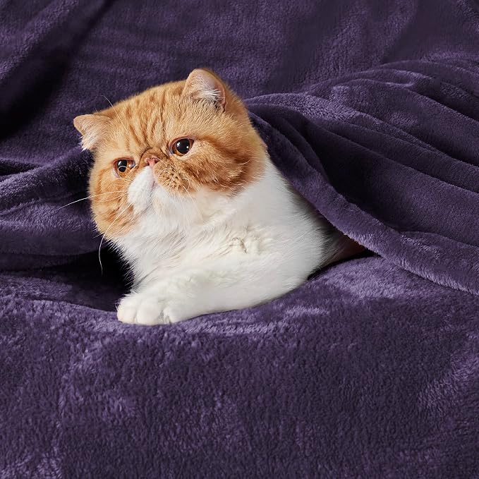 Bedsure GentleSoft Fleece Bed Blankets Large Size Purple - Image 3