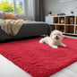 OLANLY 3x5 Machine Washable Small Bedside Rug, Soft Fluffy Shaggy Rugs by OLANLY
