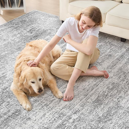 DMOYEST Area Rug Living Room Rugs - Image 5