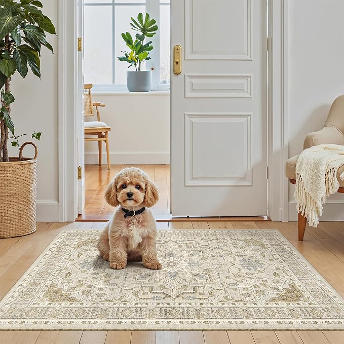 Madane Washable Area Rug 2x3 Small Entryway Rugs Non-Slip, Low Pile Floor Carpet by Madane