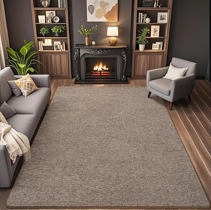 6x9 Area Rugs for Living Room Non Slip Dorm Bedroom Rug, Matte Brown | Modern - Image 3