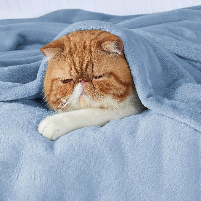 Bedsure Fleece Throw Blanket for Couch Light Blue - Image 3