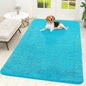 OLANLY Dog Door Mat for Muddy Paws 70x46, Super Absorbent Chenille Mud Mat | by OLANLY