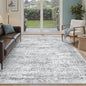 Soalmost 6x9 Area Rug for Living Room Washable Rugs Non-Slip Grey | Low-Pile by Soalmost