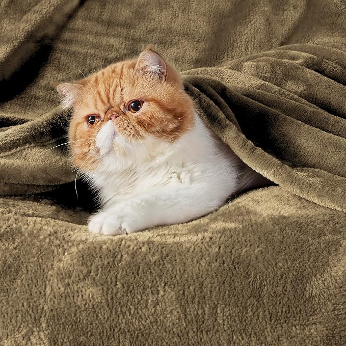 Bedsure GentleSoft Fleece Throw XL Blanket Camel - Image 2