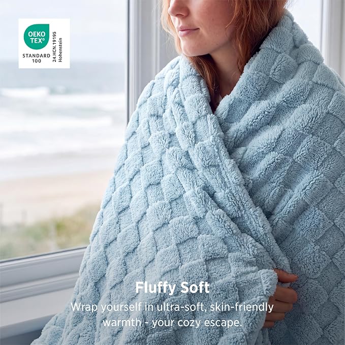 Bedsure GentleSoft Light Blue Throw Blanket - Image 2