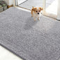 OLANLY Dog Door Mat for Muddy Paws 50x30, Super Absorbent Chenille Mud Mat | by OLANLY