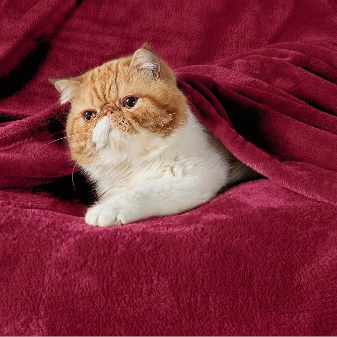 Bedsure GentleSoft Fleece Throw Blanket Red - Image 2