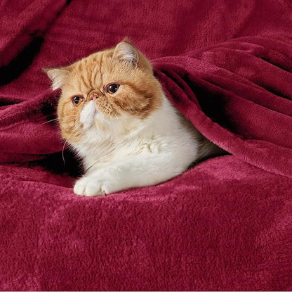 Flannel Fleece Luxury Blanket Red Queen Size Lightweight Cozy Plush Microfiber - Image 2