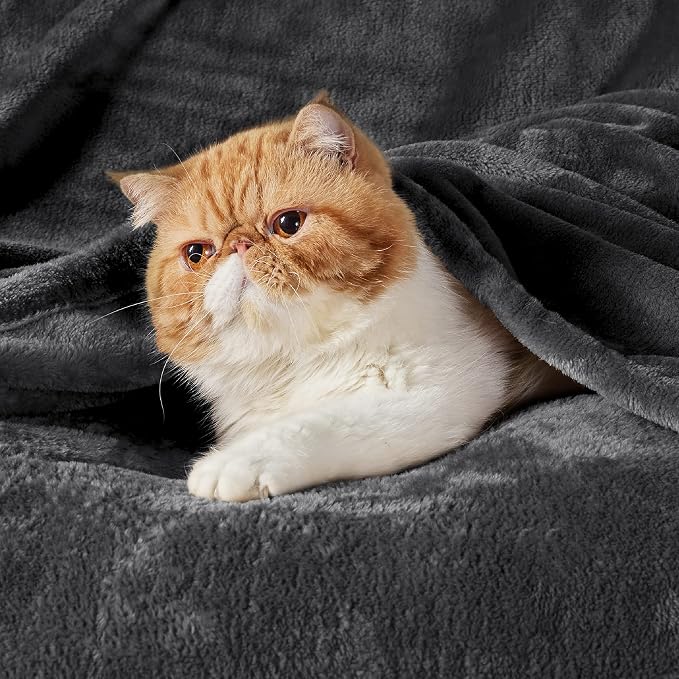 Bedsure GentleSoft Fleece Bed Blankets Large Size Charcoal - Image 3