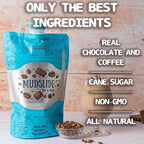 Lt. Blender's Mudslide Cocktail Mix - All Natural Creamy Rich Chocolate Coffee Blend, Easy to Make Slushy Cocktail, Resealable and Portable, 16 Servings per bag (Pack of 1)