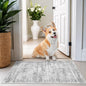 2x3 Rug Non Slip, Small Washable Entryway Rug, Runner by Restydon