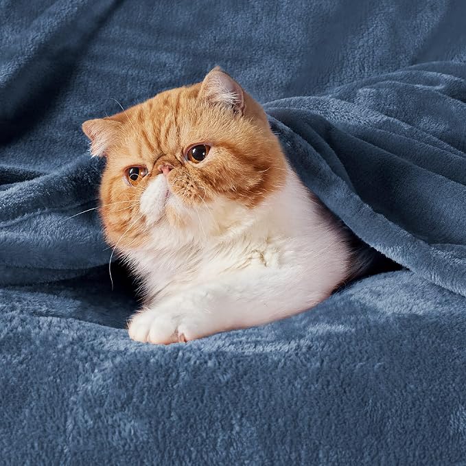 Bedsure GentleSoft Fleece Bed Blankets Full Size Blue - Image 2