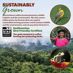 Low Acid Organic Coffee – Whole Bean, Mold-Free & Stomach Friendly by Java Planet, Colombian Single Origin, Medium Dark Roast, Smooth Full Flavored, 2x1LB Bag