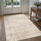 Schweek 4x6 Beige Area Rug Washable Non Slip Vintage Neutral Entryway Rugs | by Schweek