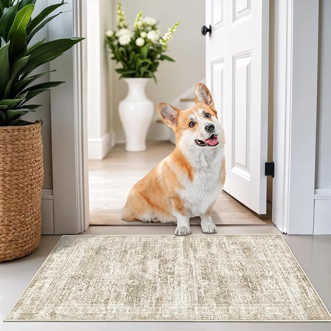 2x3 Rug Non Slip, Small Washable Entryway Rug, Runner by Restydon