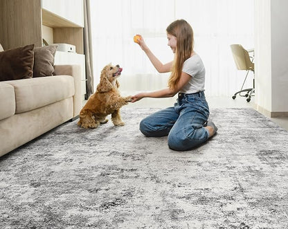 UERMEI 5x7 Area Rug Living Room Rugs - Image 5