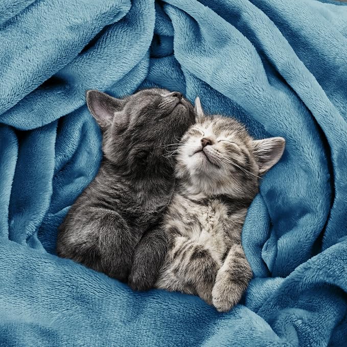 Utopia Bedding Soft Fleece Bed Blanket Queen Size Washed Blue | Microfiber - Image 4