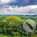 Peet's Coffee, Dark Roast Keurig K-Cup Pods - Single Origin Sumatra 32 Count (1 Box of 32 K-Cup Pods)