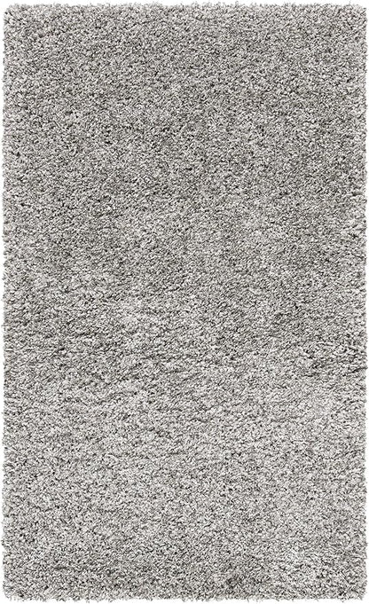 SAFAVIEH Area Rug 3x5 - Image 3