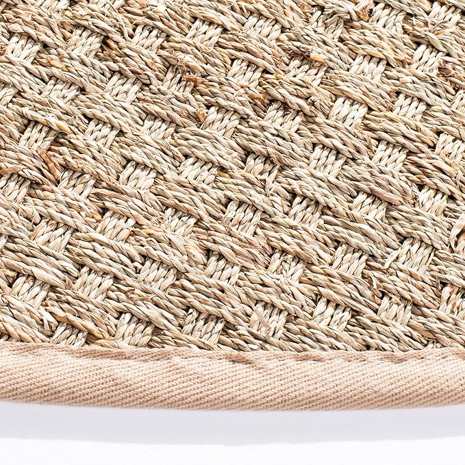 Safavieh Area Rug 12' Round - Image 3