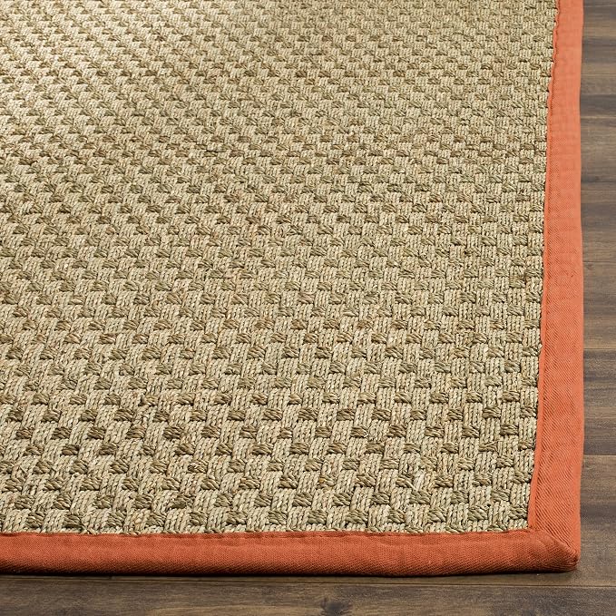 SAFAVIEH Area Rug 9x12 - Image 4