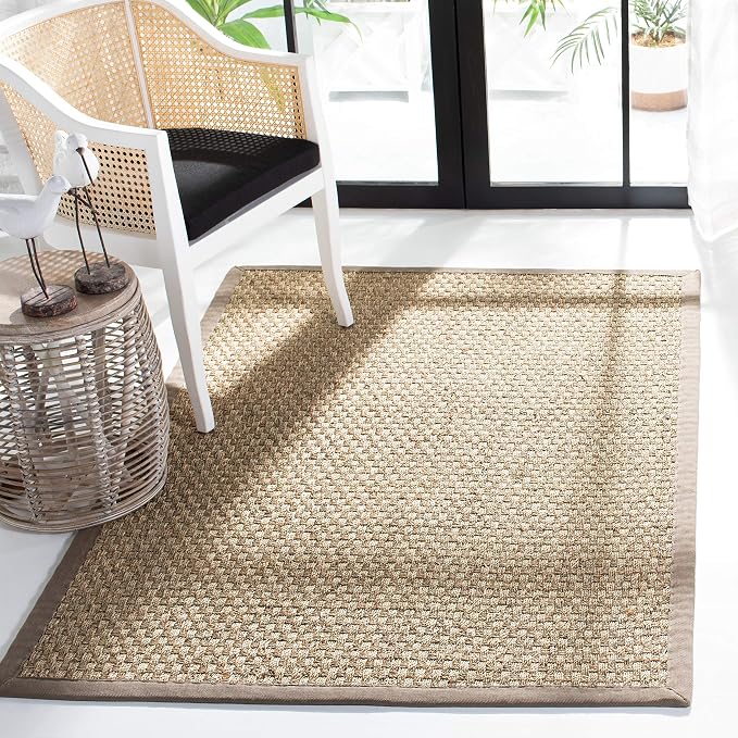 SAFAVIEH Area Rug 4x6 by Unknown
